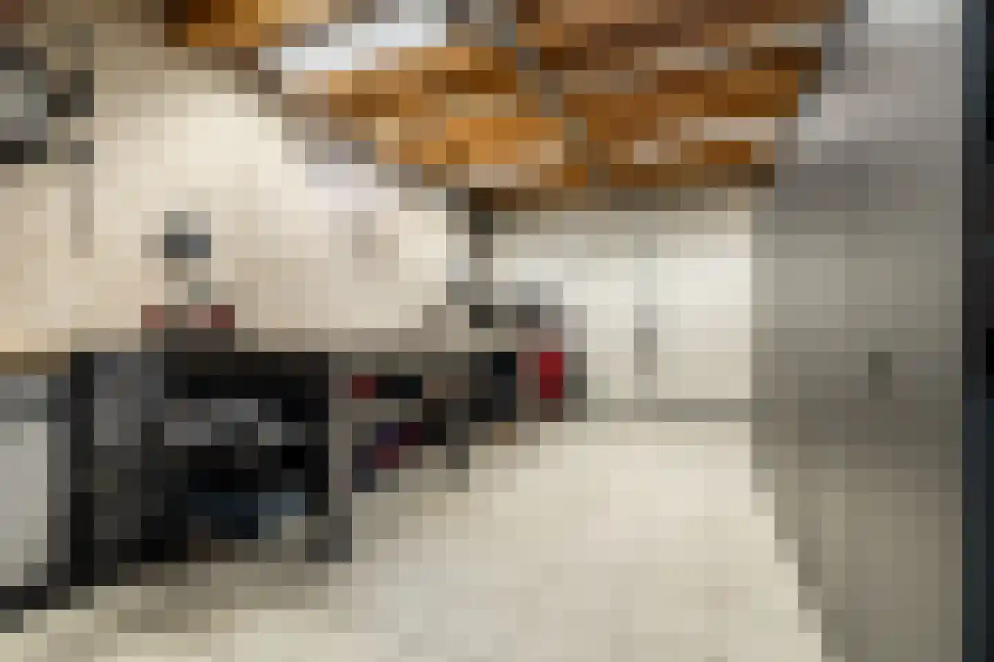 Bosakker 3 Galder thumbnail 25