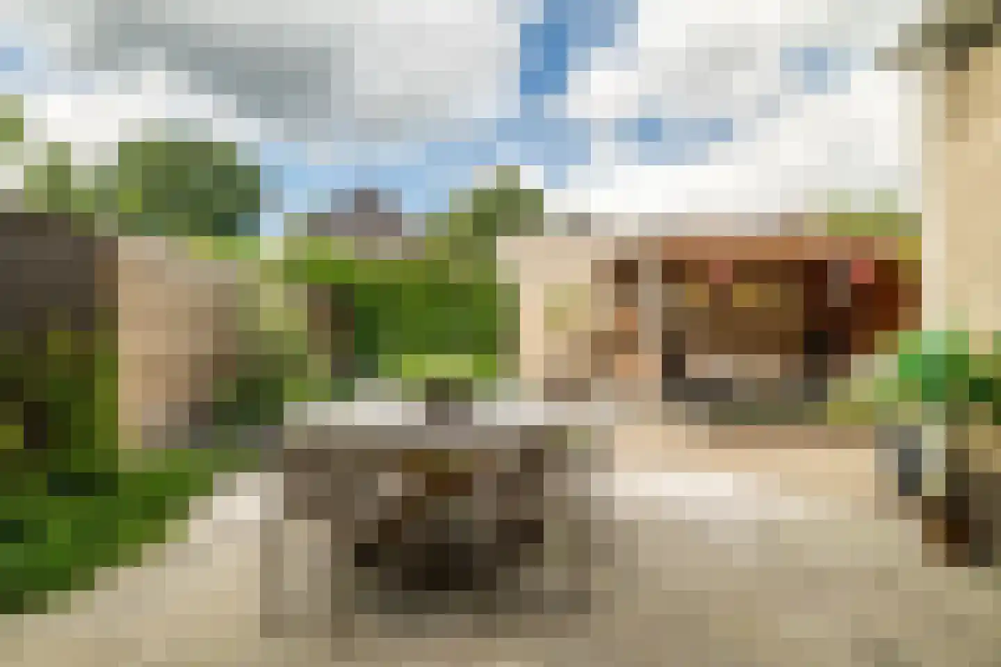 Bosakker 3 Galder thumbnail 36