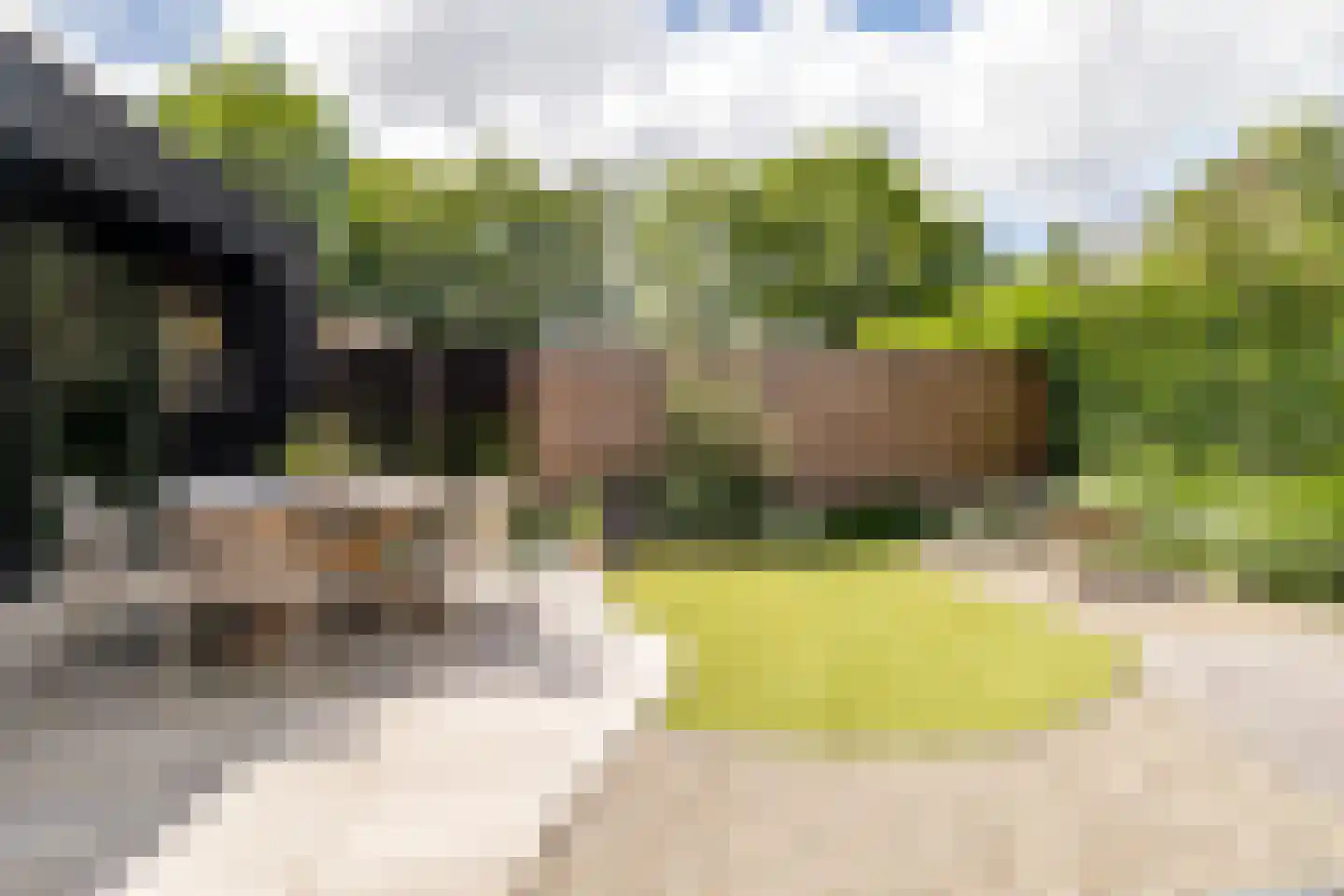 Bosakker 3 Galder thumbnail 37