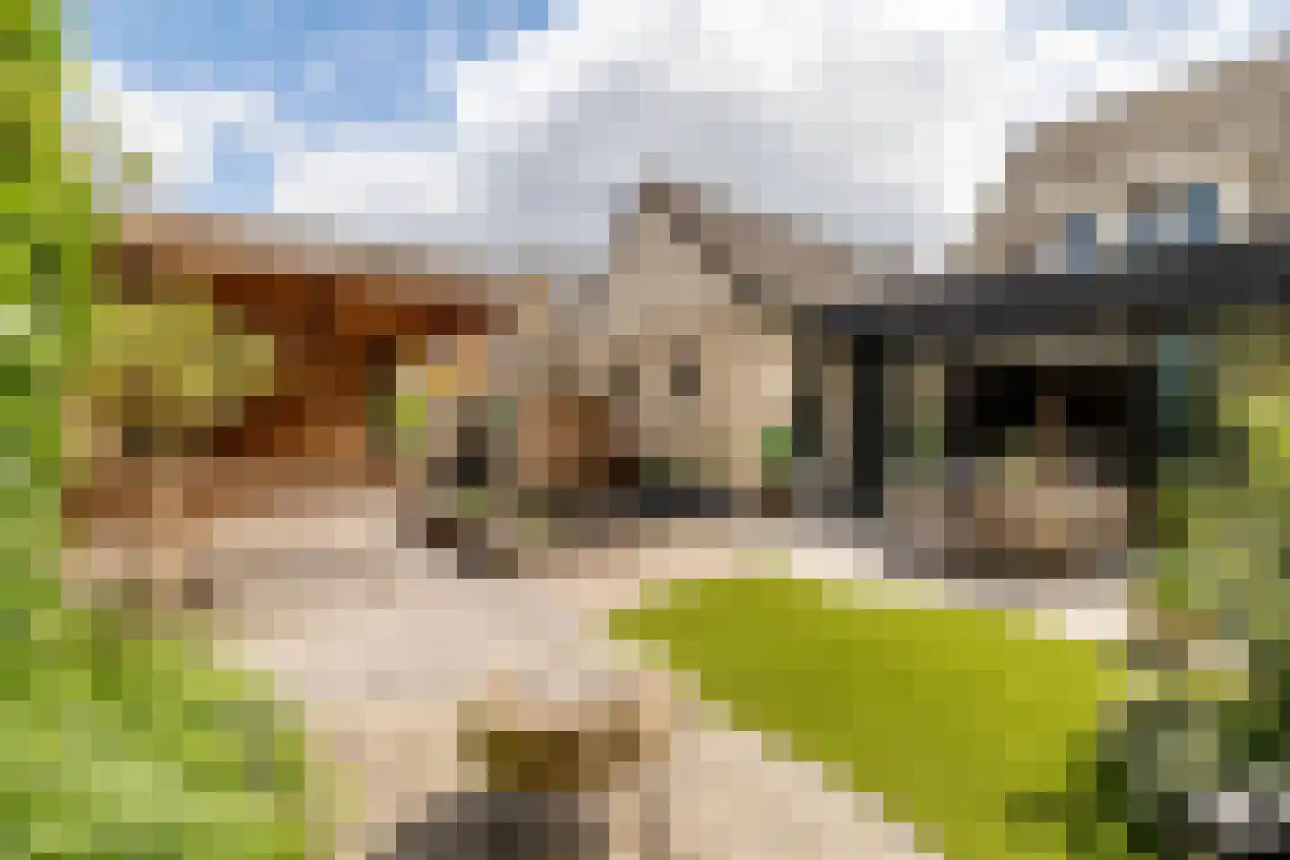 Bosakker 3 Galder thumbnail 4