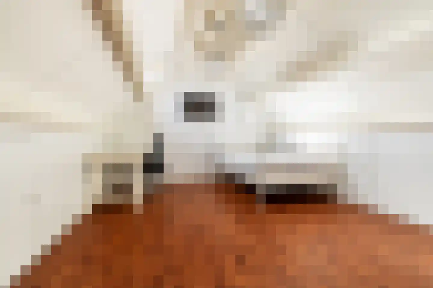 Bosakker 8 Galder thumbnail 26