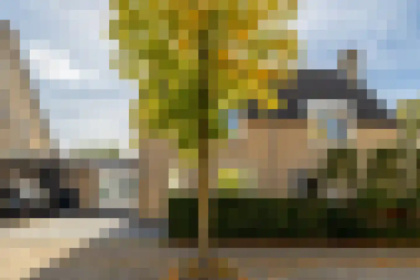 Bosakker 8 Galder thumbnail 6