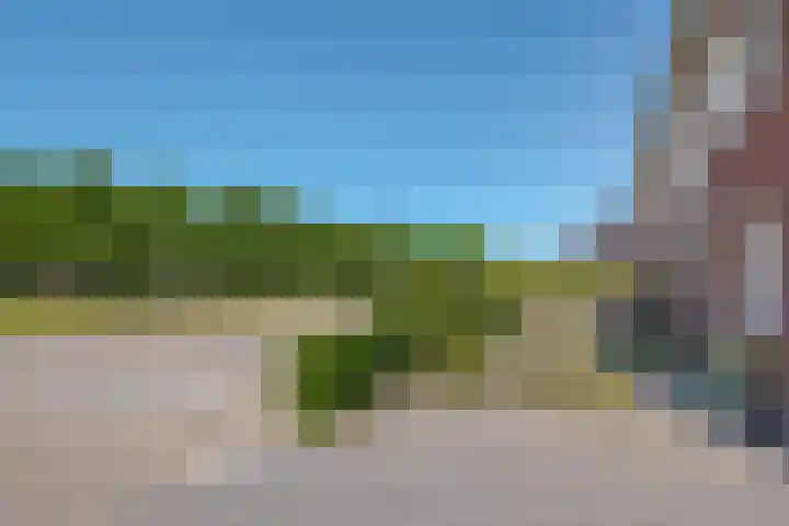 Bosanemoon 11 Leek thumbnail 11
