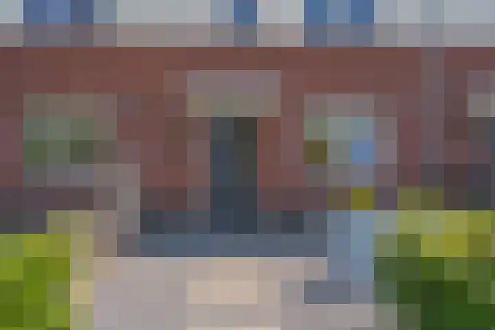 Bosanemoon 11 Leek thumbnail 12
