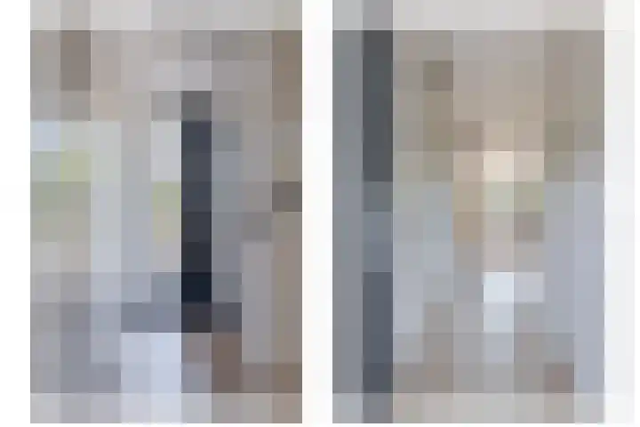 Bosanemoon 11 Leek thumbnail 13