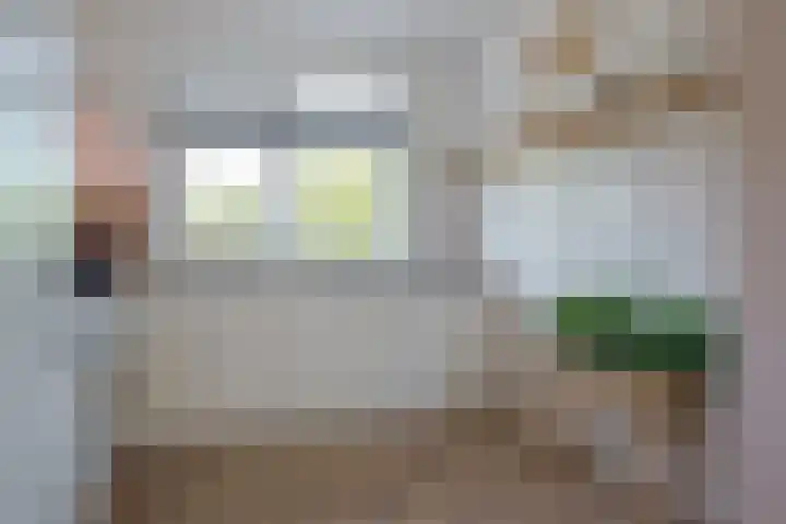 Bosanemoon 11 Leek thumbnail 22