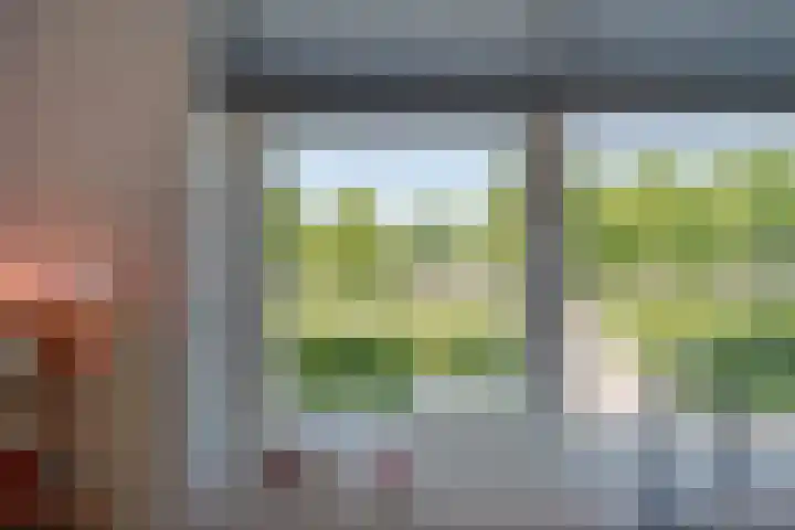 Bosanemoon 11 Leek thumbnail 23