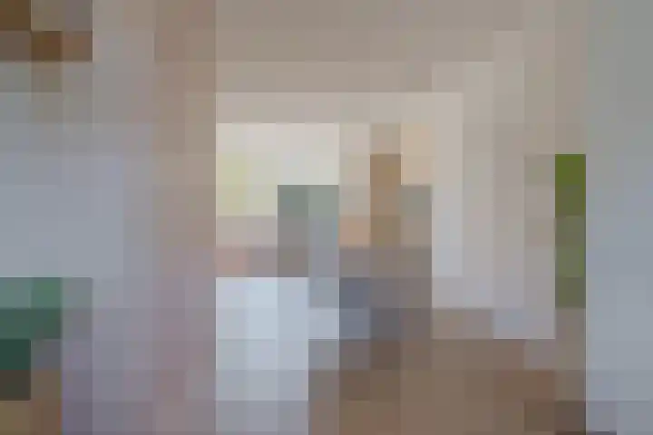 Bosanemoon 11 Leek thumbnail 24