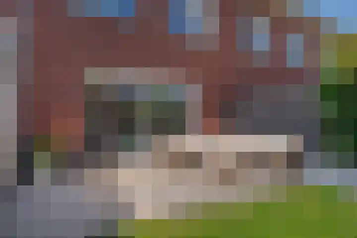 Bosanemoon 11 Leek thumbnail 26