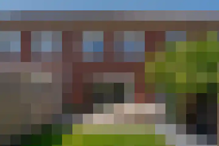 Bosanemoon 11 Leek thumbnail 27
