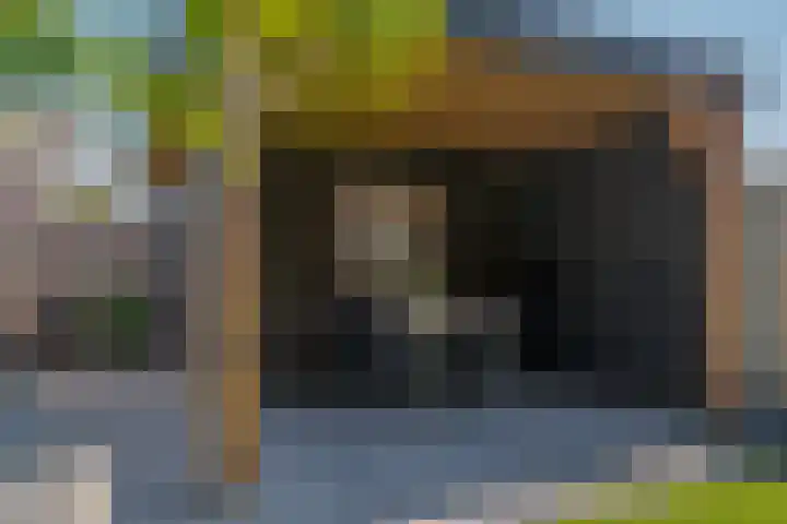Bosanemoon 11 Leek thumbnail 28