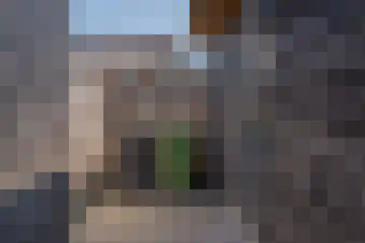 Bosanemoon 11 Leek thumbnail 29