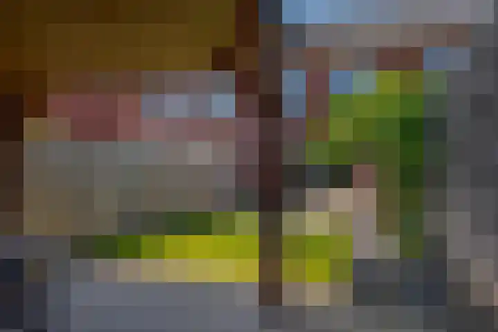 Bosanemoon 11 Leek thumbnail 30