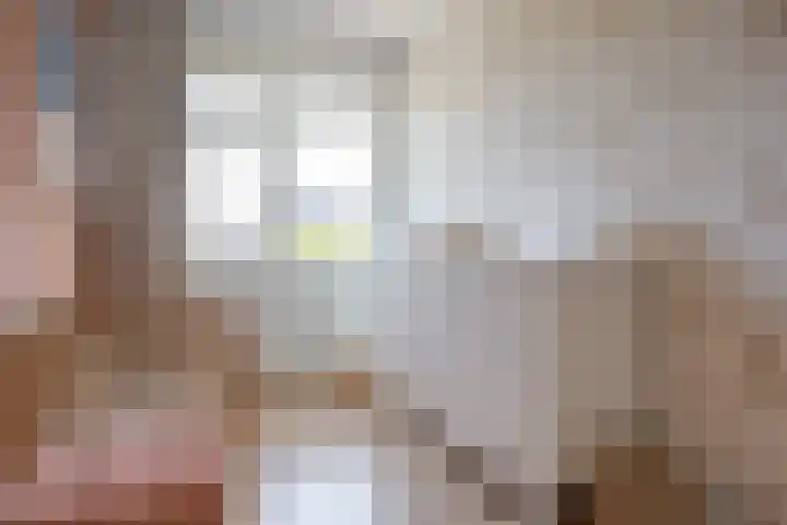 Bosanemoon 11 Leek thumbnail 38