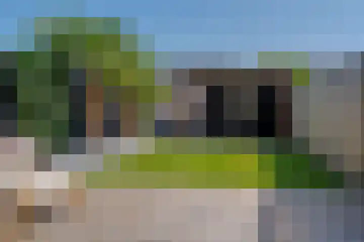 Bosanemoon 11 Leek thumbnail 4