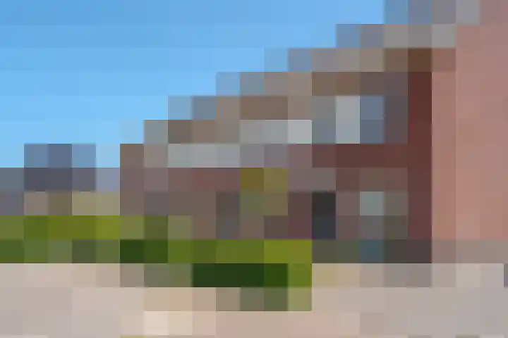 Bosanemoon 11 Leek thumbnail 5