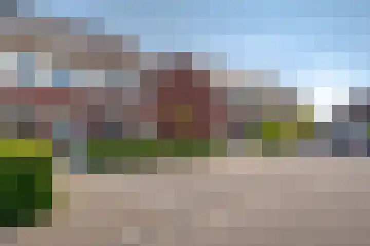 Bosanemoon 11 Leek thumbnail 6