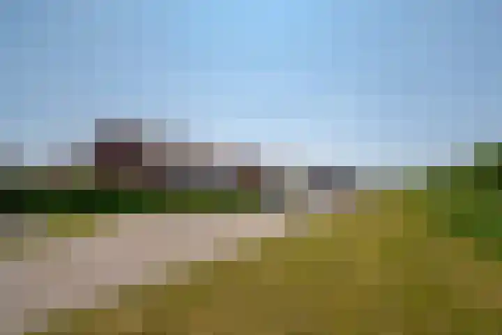 Bosanemoon 11 Leek thumbnail 7