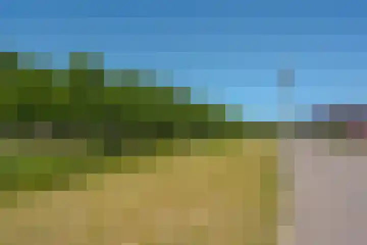 Bosanemoon 11 Leek thumbnail 8