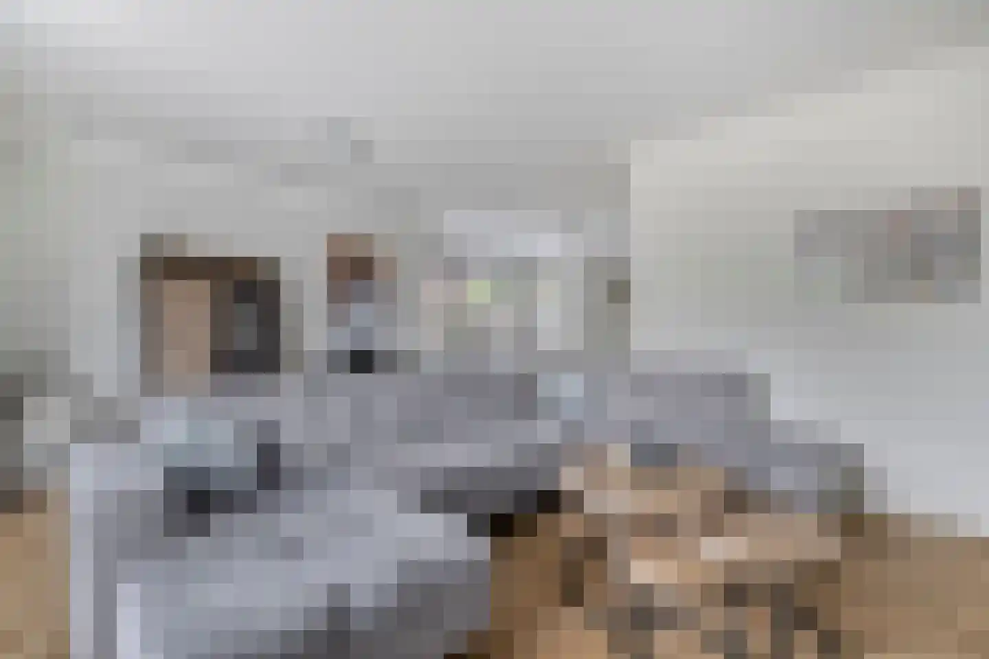 Bosanemoon 13 Hoeven thumbnail 11