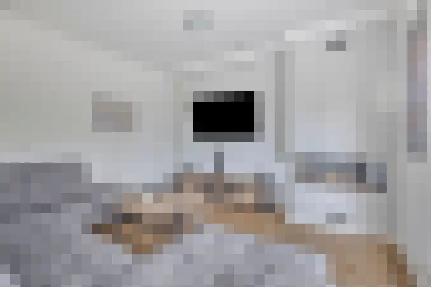 Bosanemoon 13 Hoeven thumbnail 12