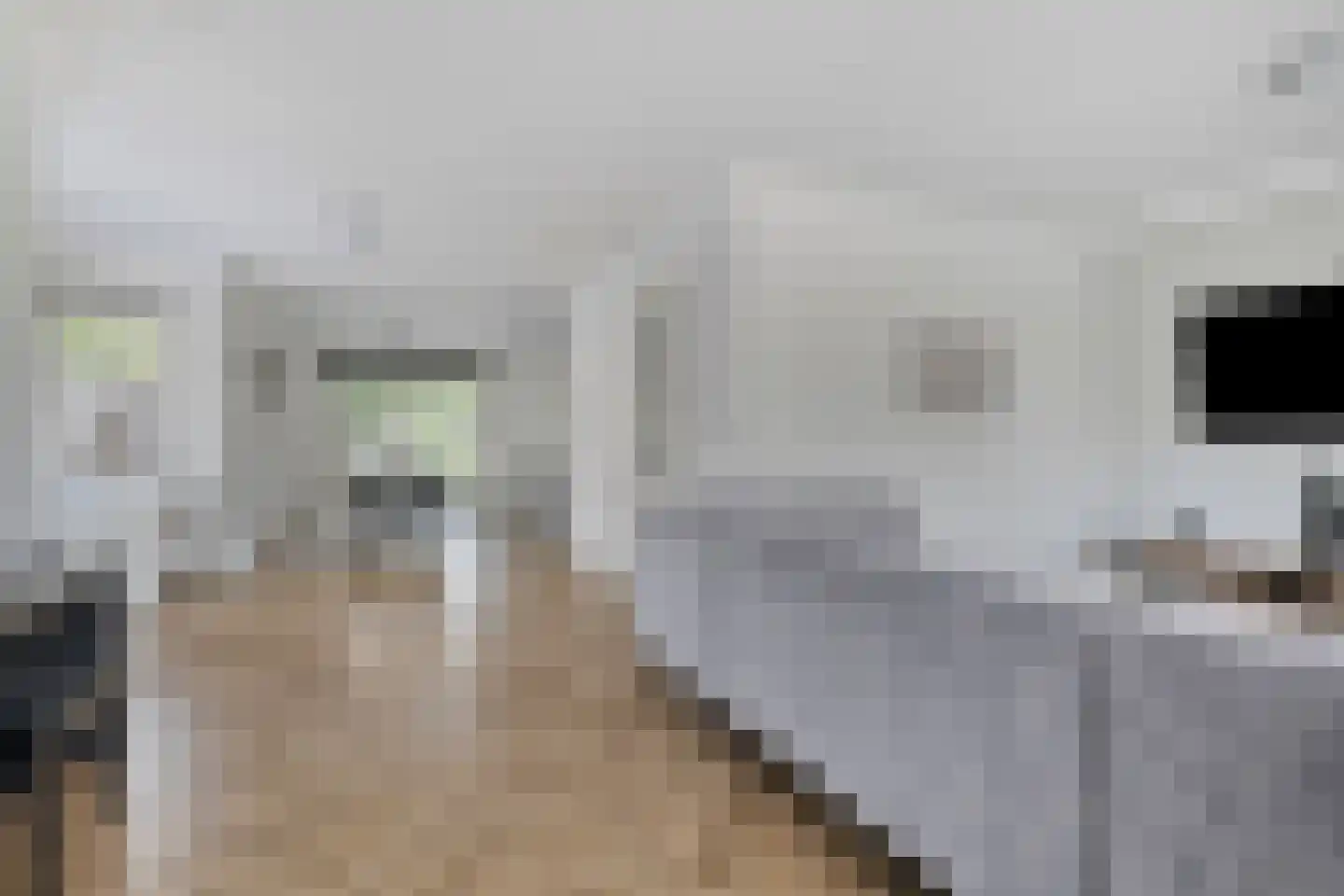 Bosanemoon 13 Hoeven thumbnail 13