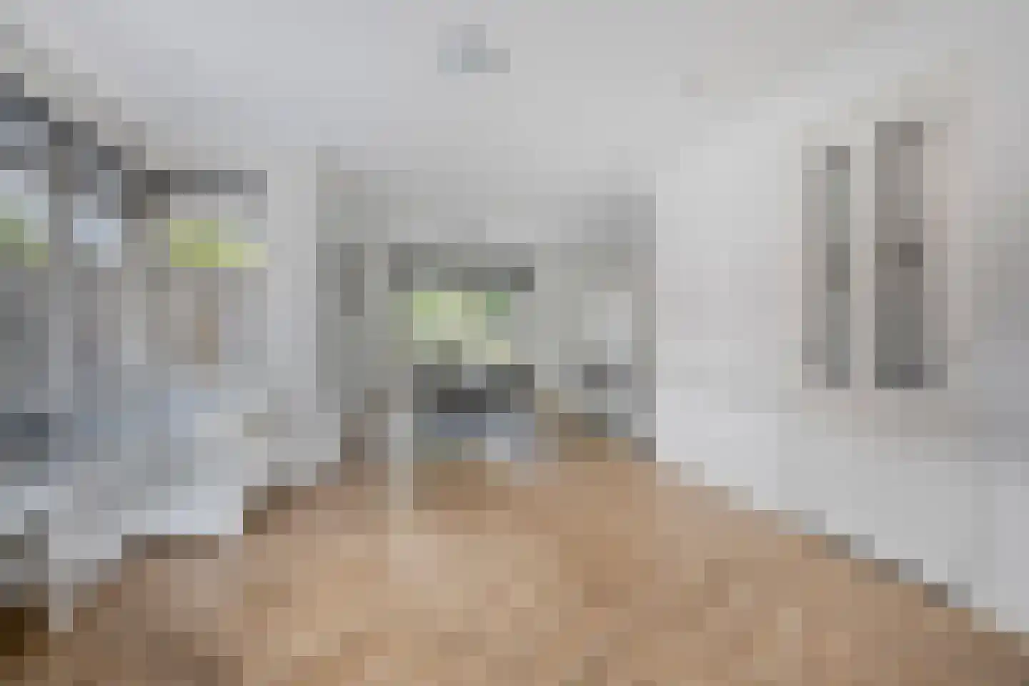 Bosanemoon 13 Hoeven thumbnail 14