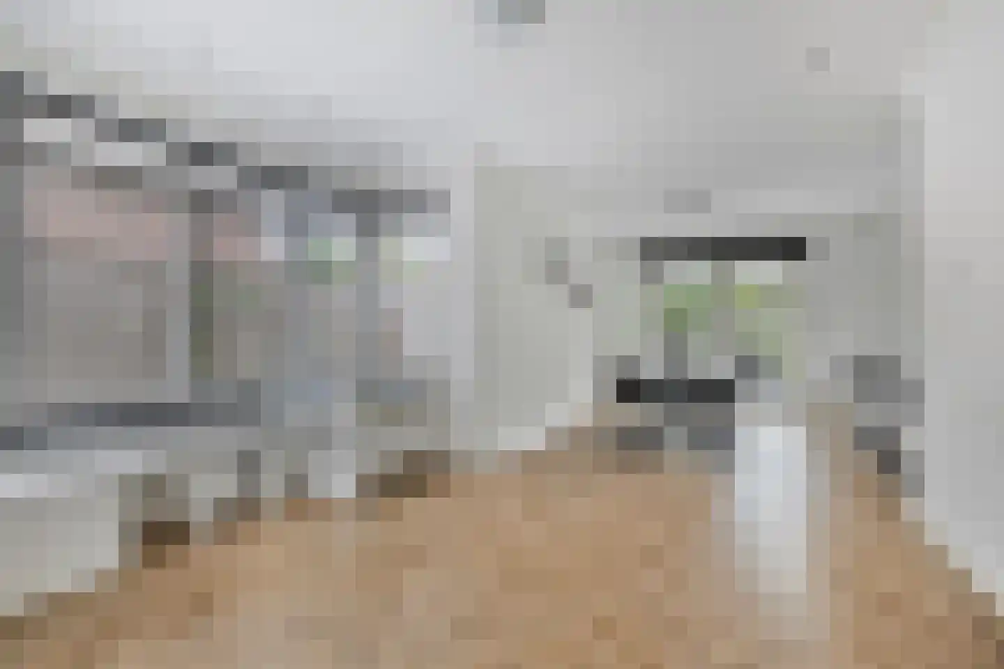 Bosanemoon 13 Hoeven thumbnail 15