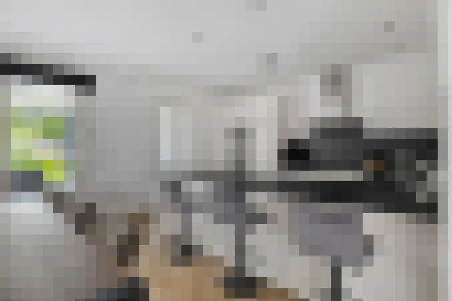Bosanemoon 13 Hoeven thumbnail 16