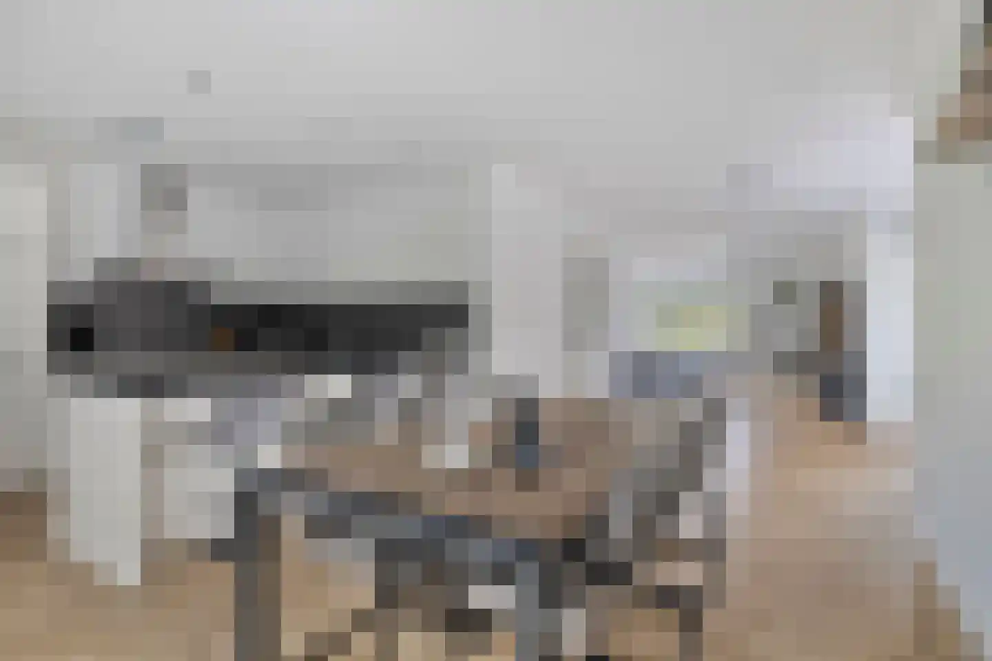 Bosanemoon 13 Hoeven thumbnail 18