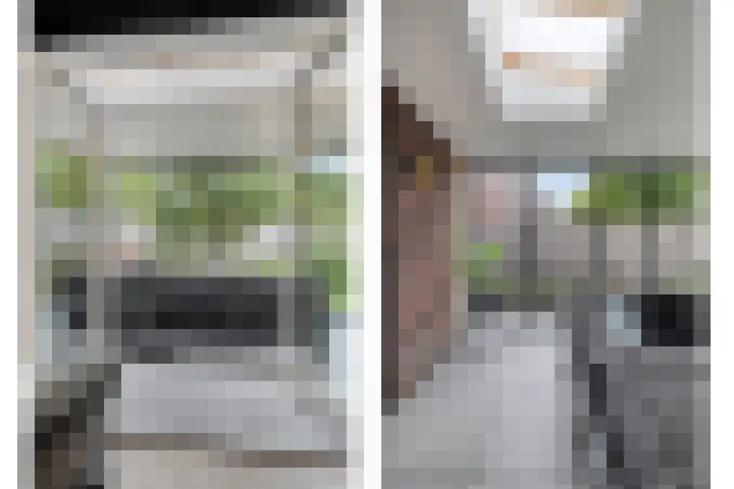 Bosanemoon 13 Hoeven thumbnail 23