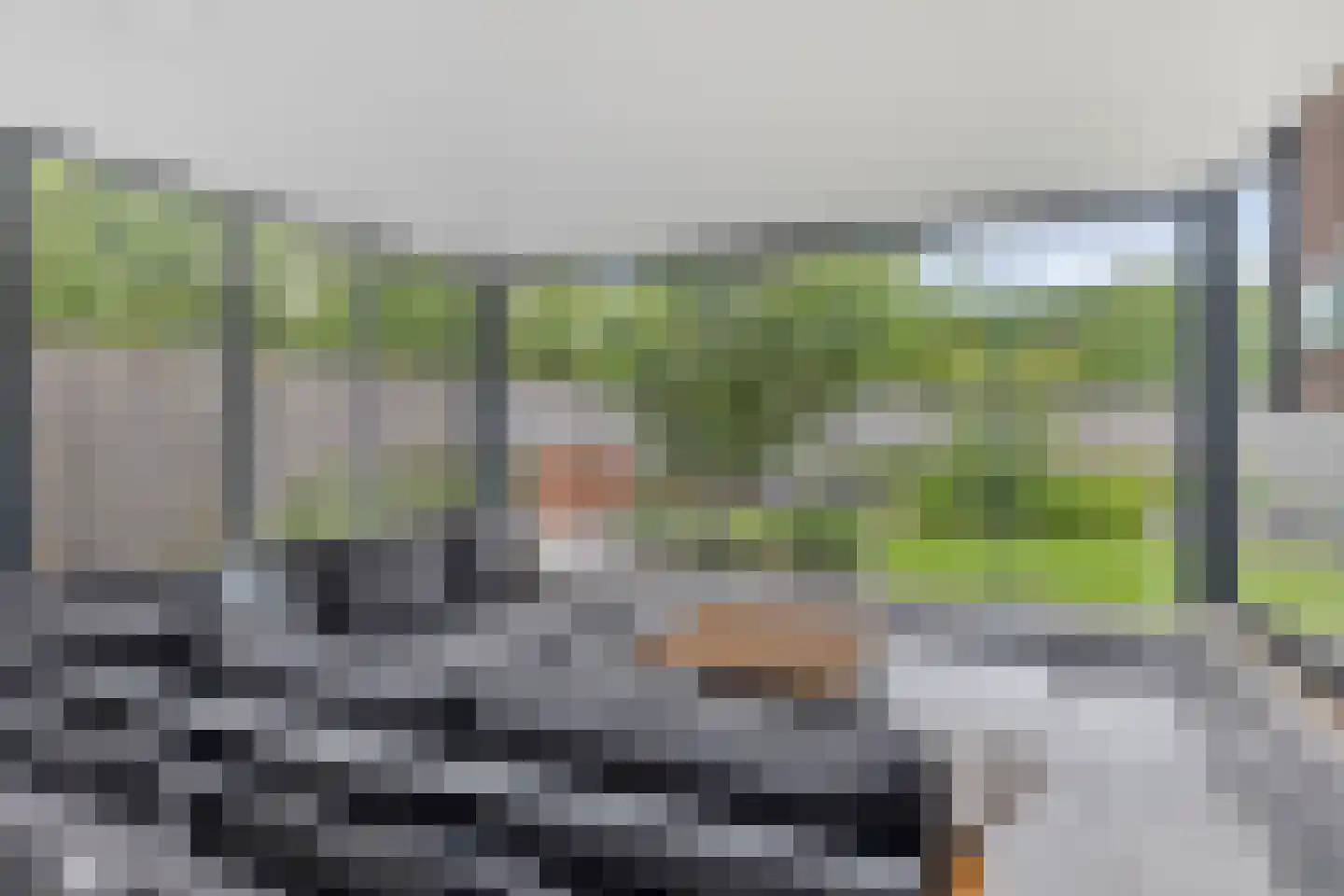 Bosanemoon 13 Hoeven thumbnail 24