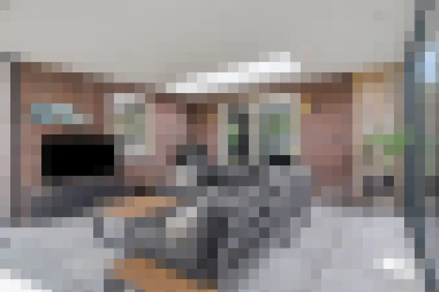Bosanemoon 13 Hoeven thumbnail 25
