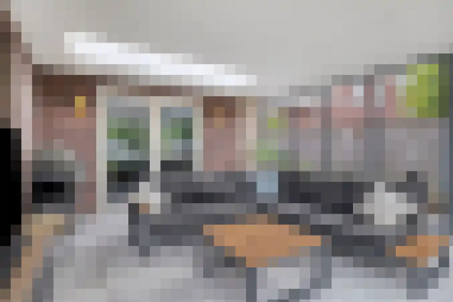 Bosanemoon 13 Hoeven thumbnail 26