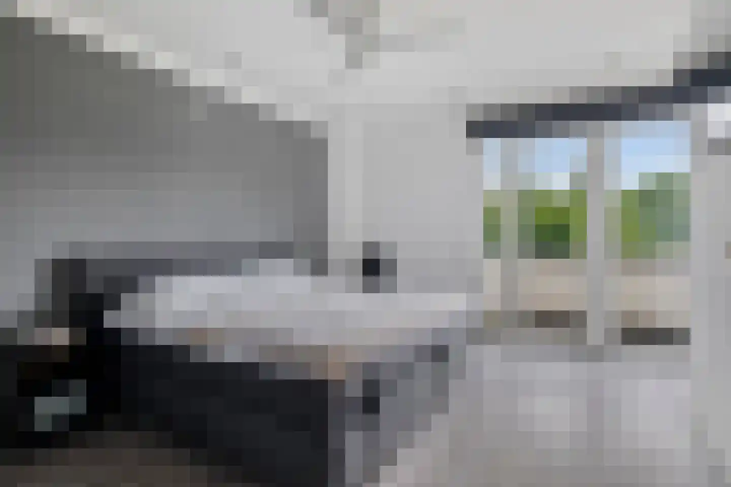 Bosanemoon 13 Hoeven thumbnail 29