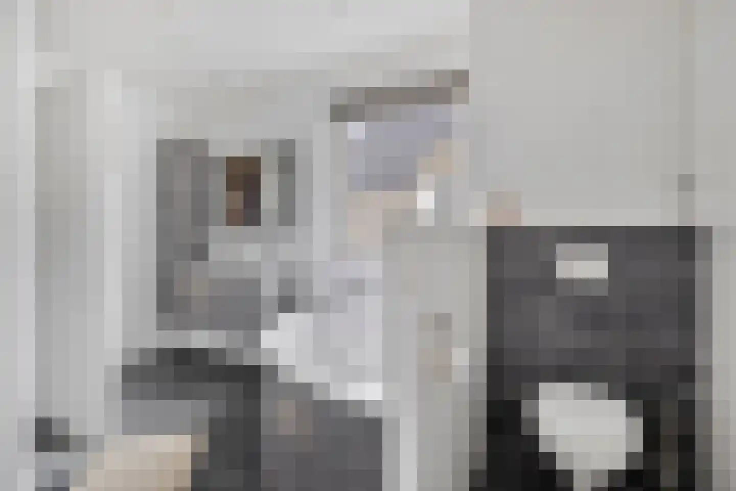 Bosanemoon 13 Hoeven thumbnail 34