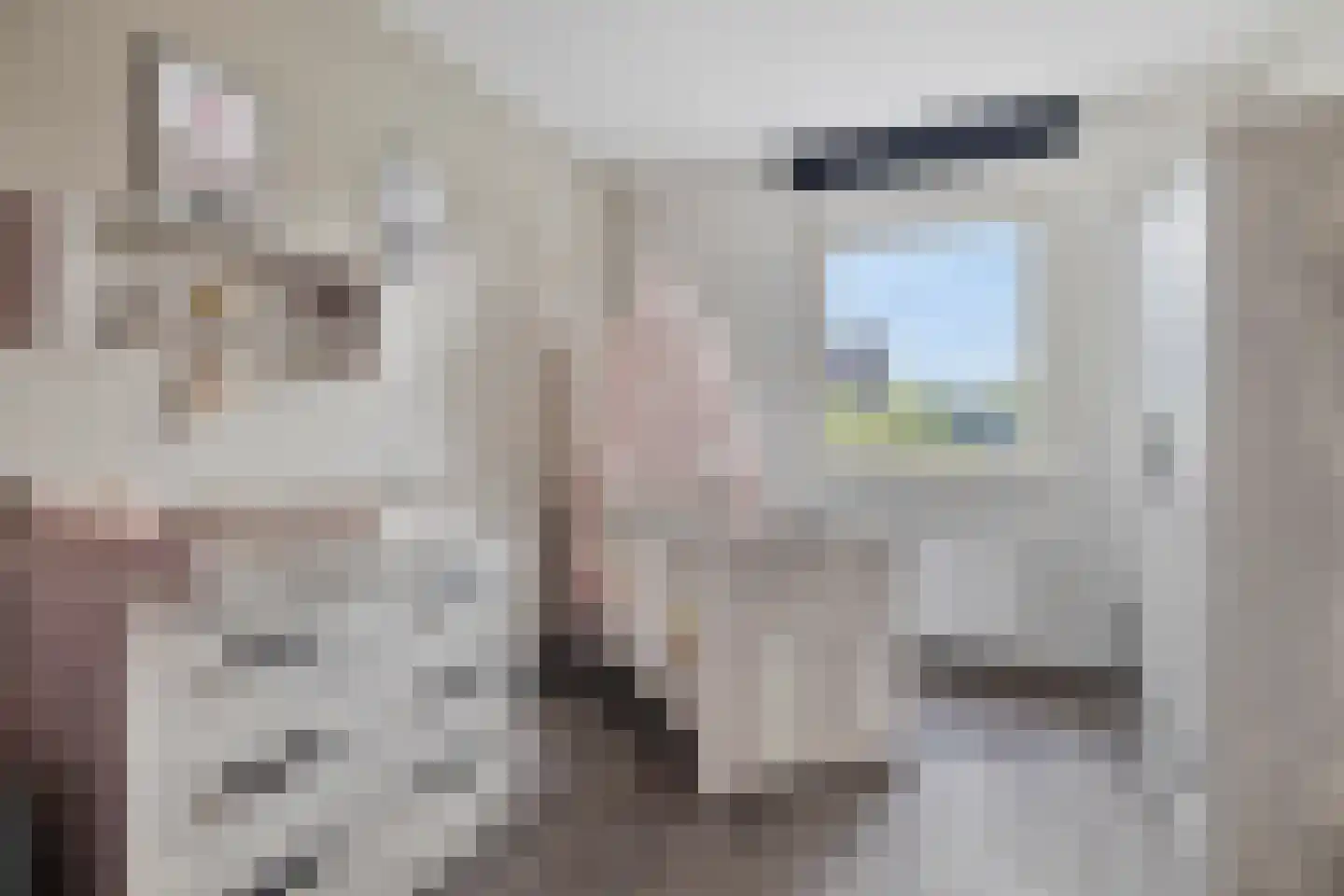 Bosanemoon 13 Hoeven thumbnail 35