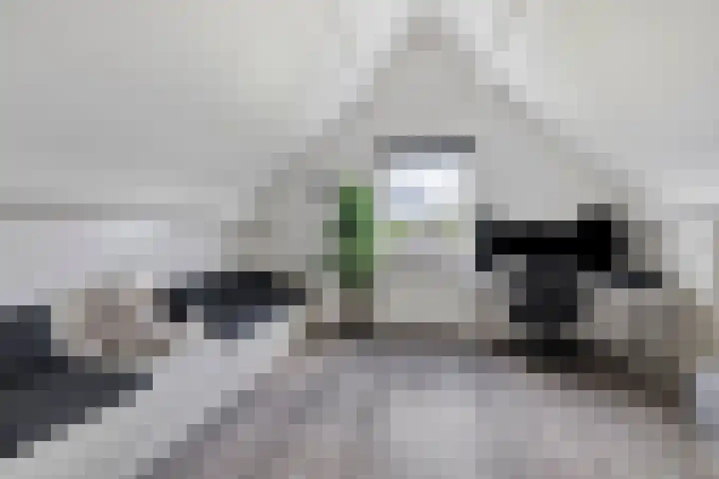 Bosanemoon 13 Hoeven thumbnail 37