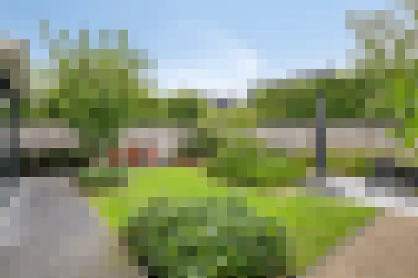 Bosanemoon 13 Hoeven thumbnail 4