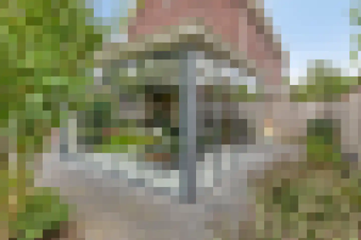 Bosanemoon 13 Hoeven thumbnail 40