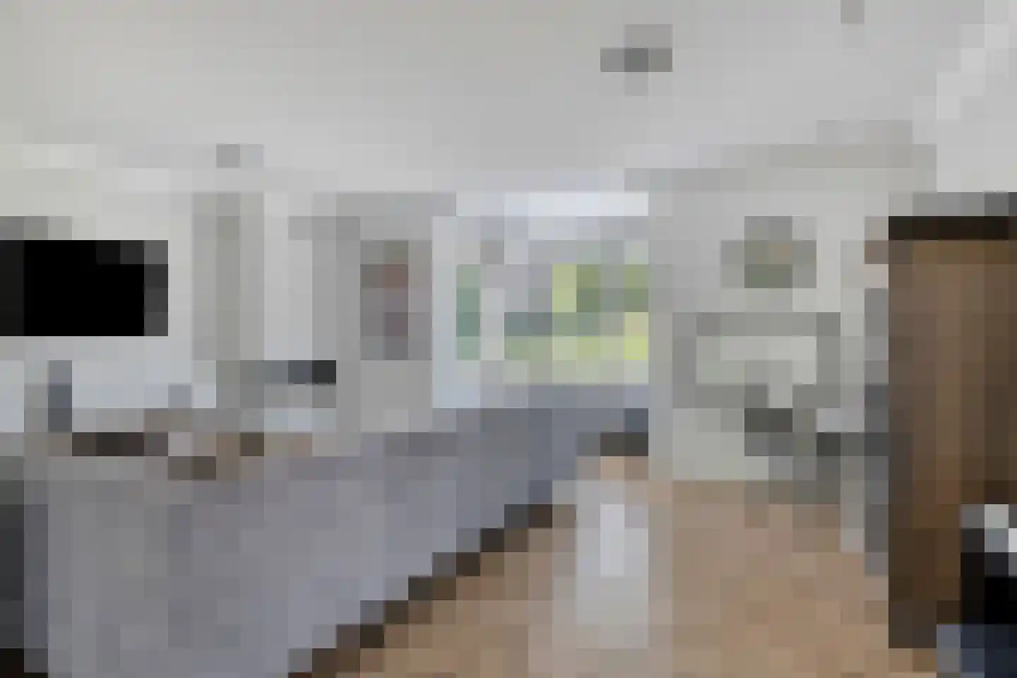 Bosanemoon 13 Hoeven thumbnail 7