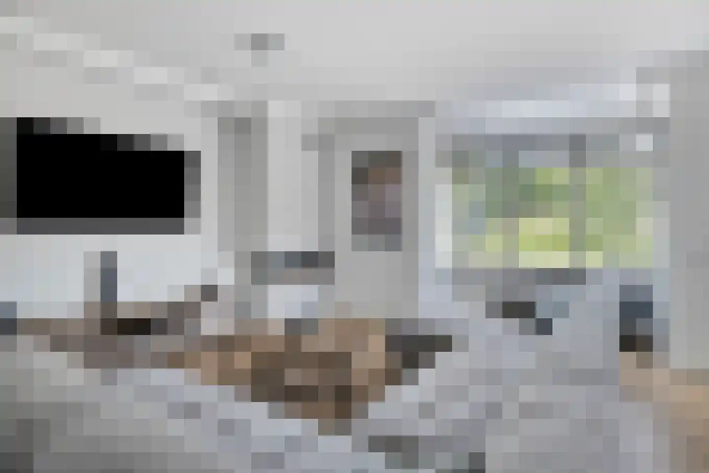 Bosanemoon 13 Hoeven thumbnail 8