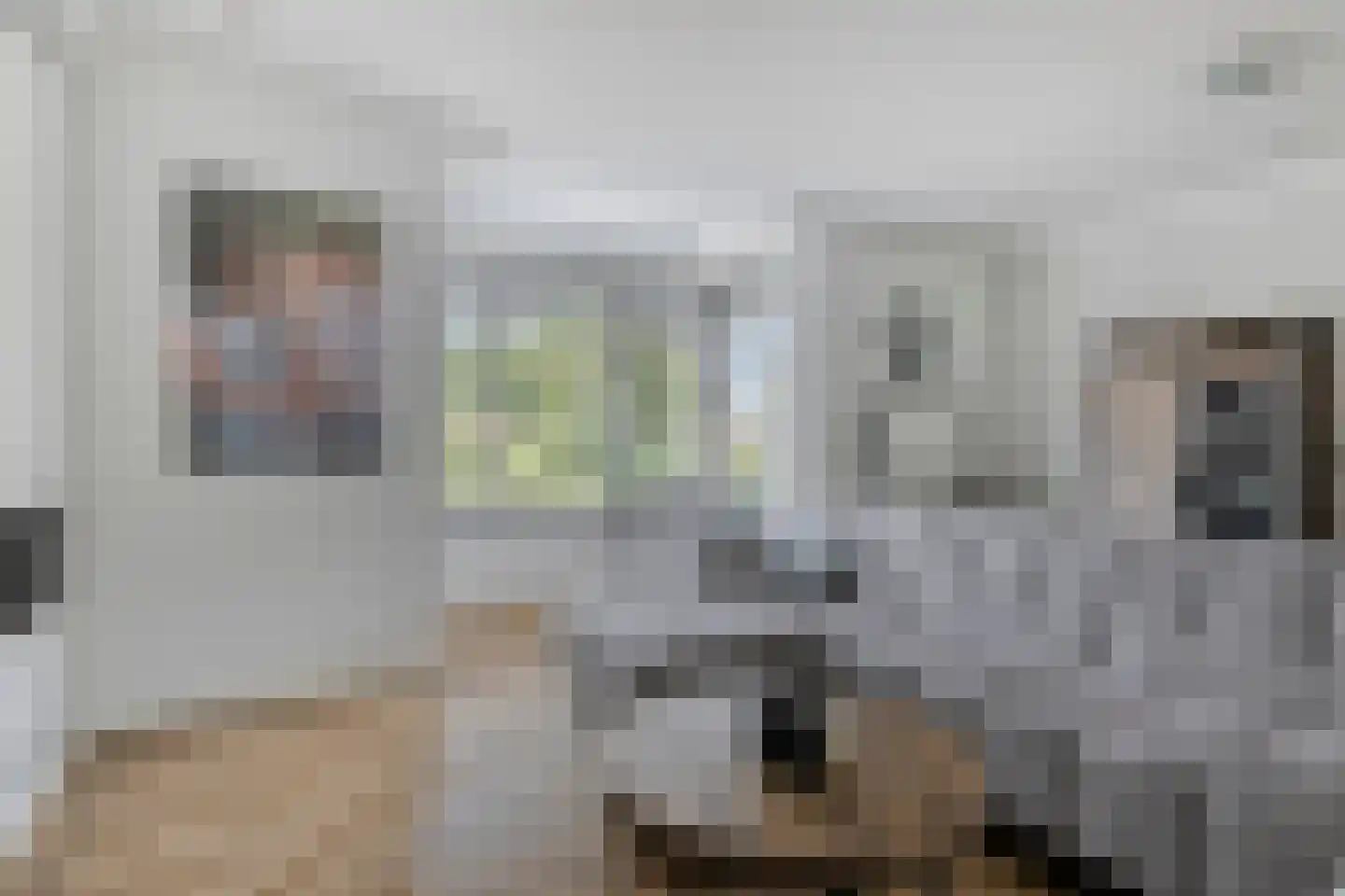 Bosanemoon 13 Hoeven thumbnail 9