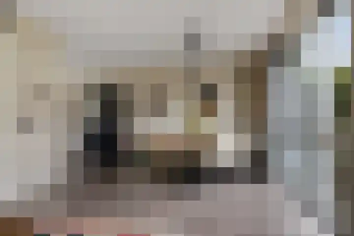 Bosanemoon 18 Assen thumbnail 16