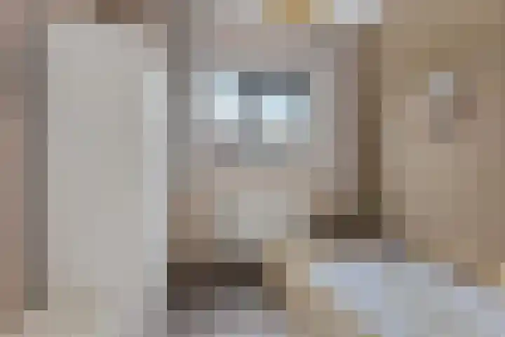 Bosanemoon 18 Assen thumbnail 19