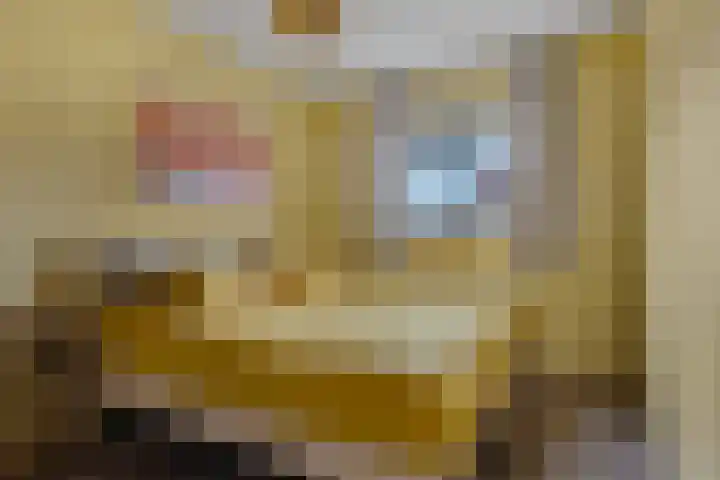 Bosanemoon 18 Assen thumbnail 20