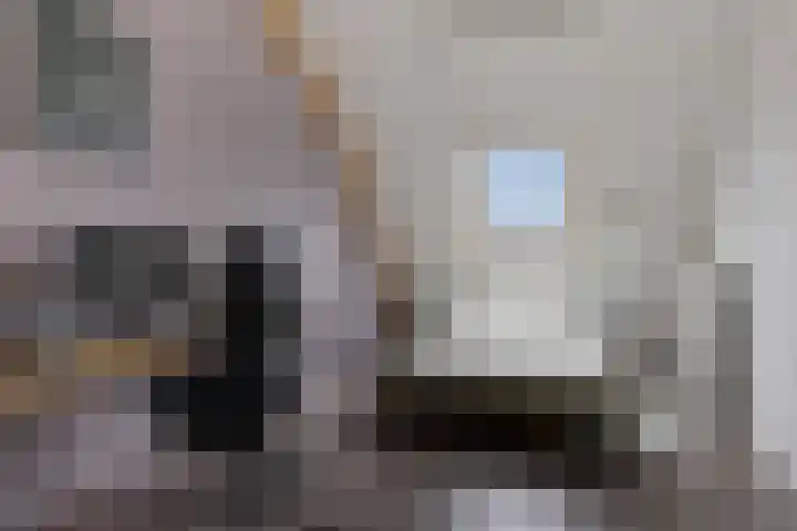 Bosanemoon 18 Assen thumbnail 30