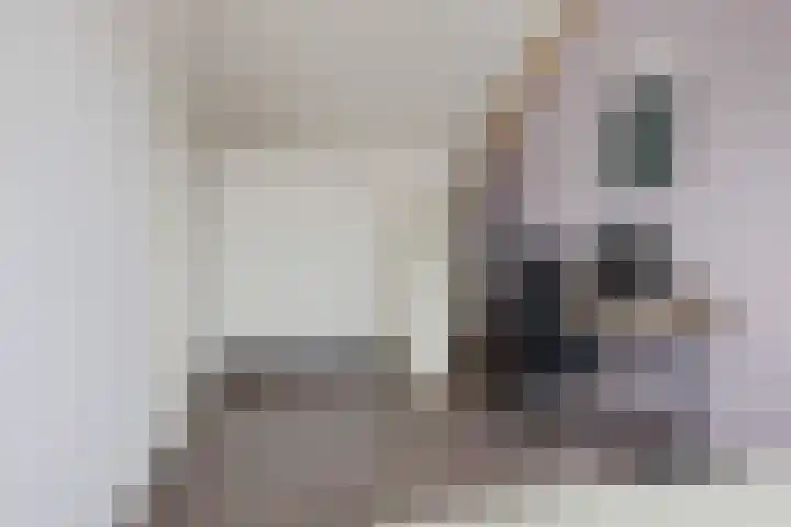Bosanemoon 18 Assen thumbnail 31