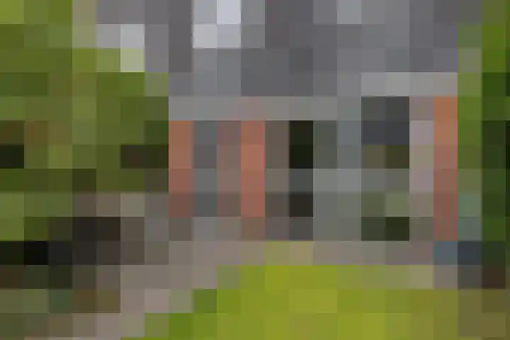 Bosanemoon 18 Assen thumbnail 33