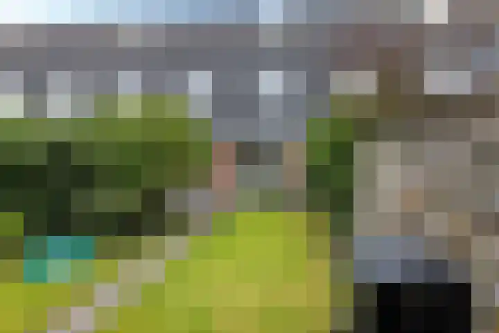 Bosanemoon 18 Assen thumbnail 34